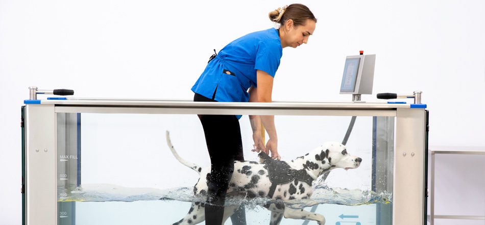 hydrotherapy imh 01